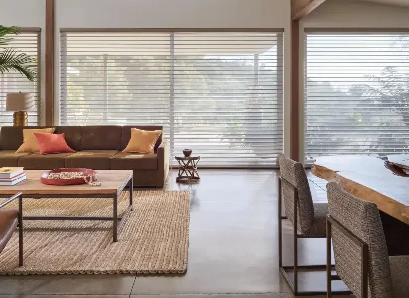 8-2020_Sil_Ella_PV_After_Living-Room-scaled-qkwfhso9b7ohh648ndqlhs1wik46gzj64y965y6tyy-re9jsvyhalhg7bbtomngppqhxsyt5v491grmmvd5bu