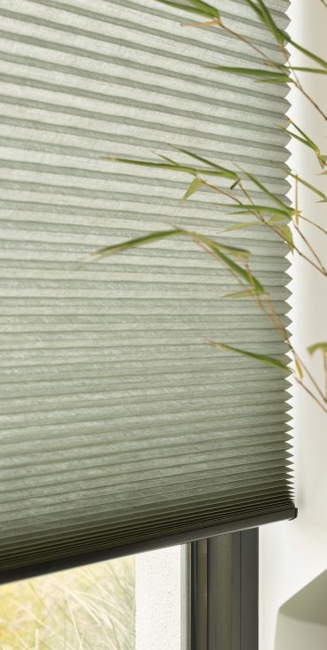 DS_1868-scaled-qumru7lirqfg1uqbh754kyiu4k85e3m0cjunrp6w4s